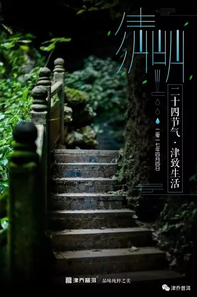 【茶文】清明 | 追忆，在这场风清气朗的春光里