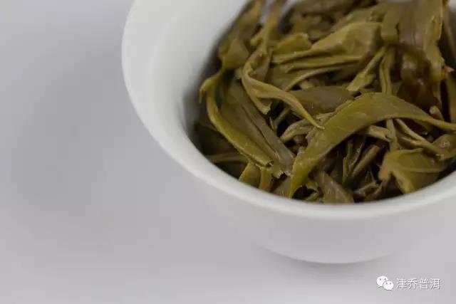 【茶百科】喝普洱，叶底可以告诉你这么多秘密