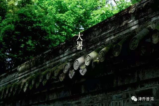 【茶文】大暑 | 热在三伏天，乐在茶生香