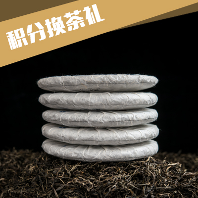 听说积分可以换冰岛，那么积分从哪里来呢？