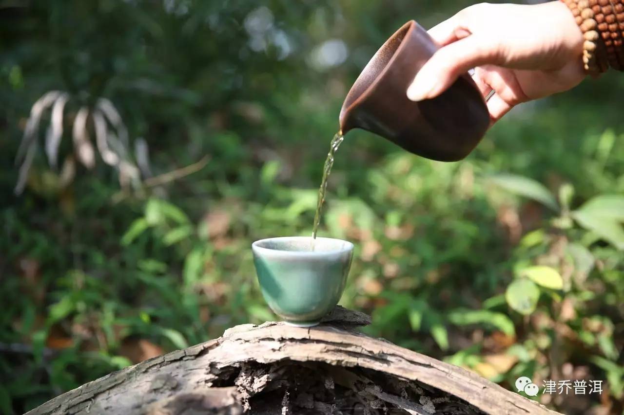 【津致生活】喝茶，是最轻松的自律