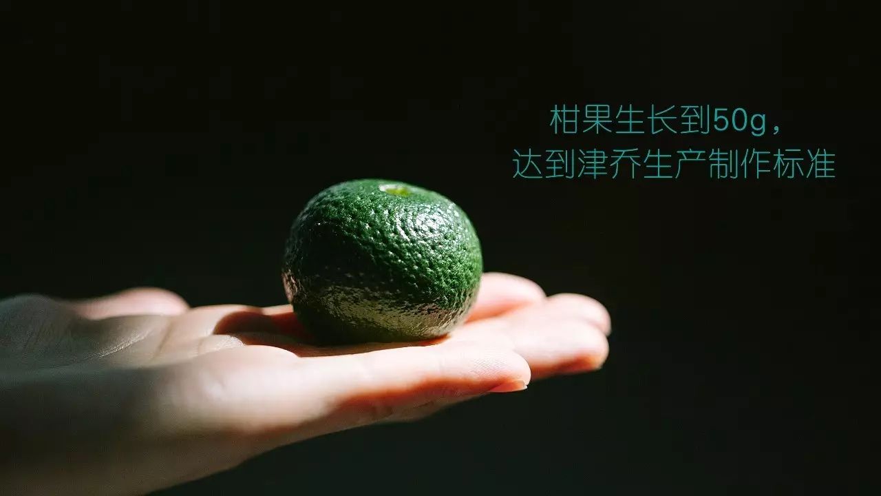 【视点】姗姗来迟，还是“柑柑”好？津味小青柑2.0制作解析（视频）