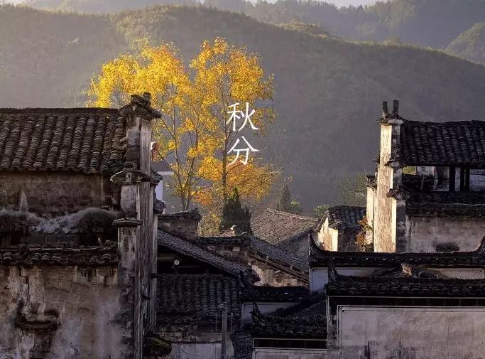 【茶文】秋分 | 风清露冷秋期半，昼夜一半，寒暑一半