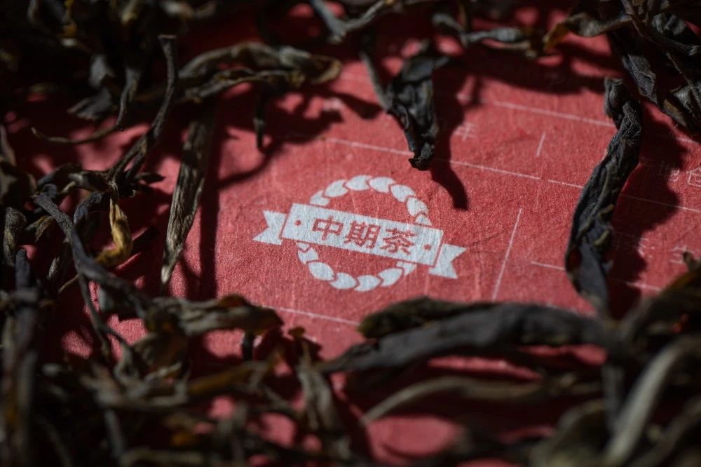 【动态】迎接品牌十年，津乔茶业将首度开仓分享原厂10年“中期茶”