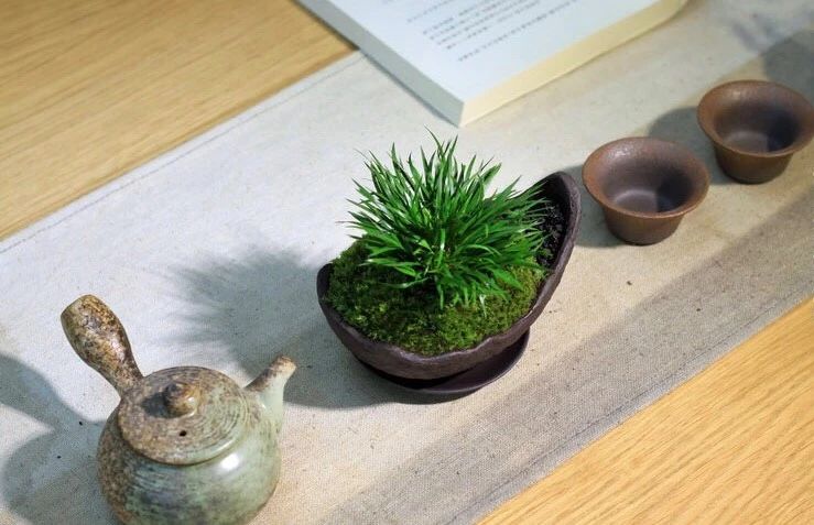 【津品茶话】这样做，让家里的茶席更美观实用