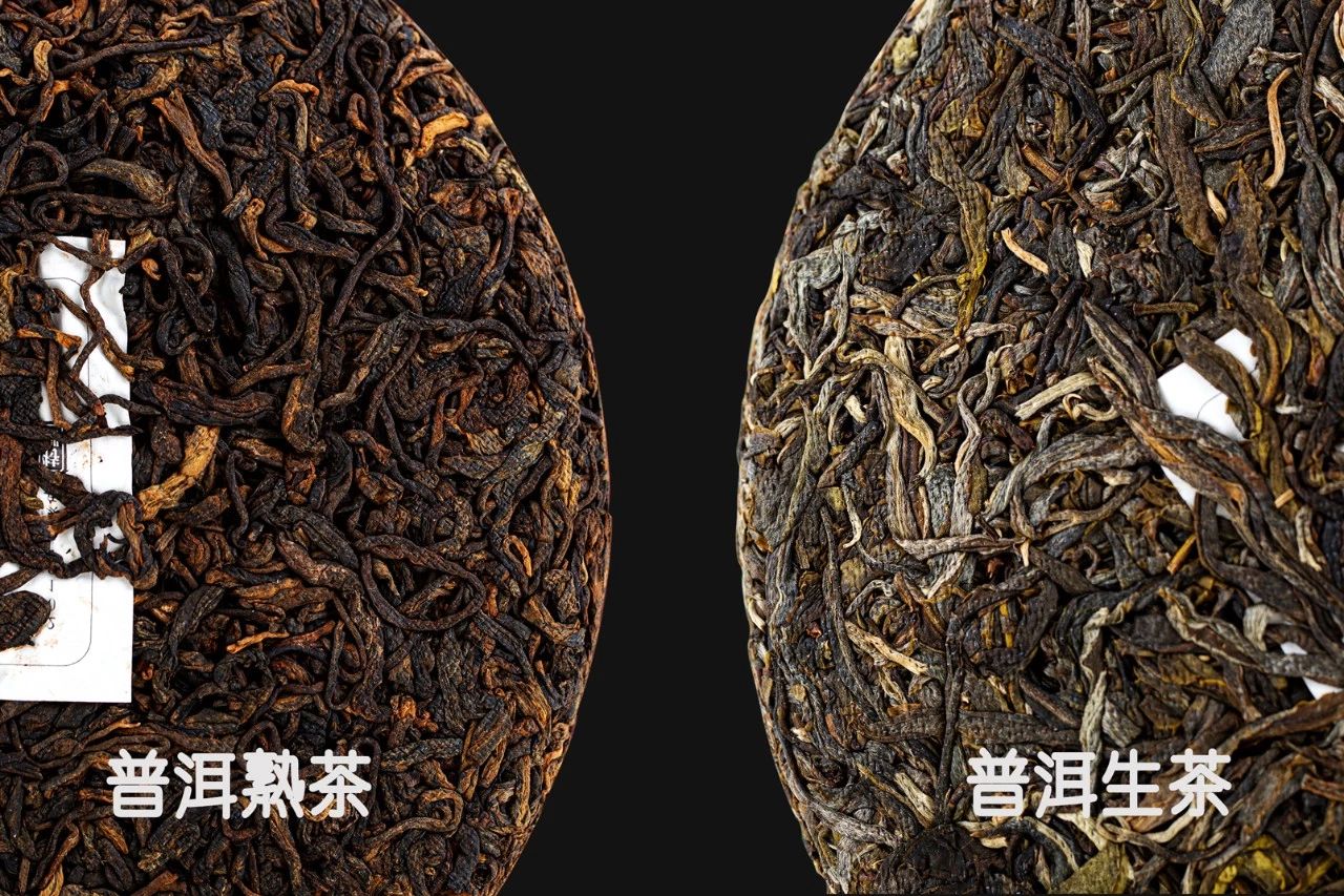 【津品茶话】普洱分生熟，喝法有讲究