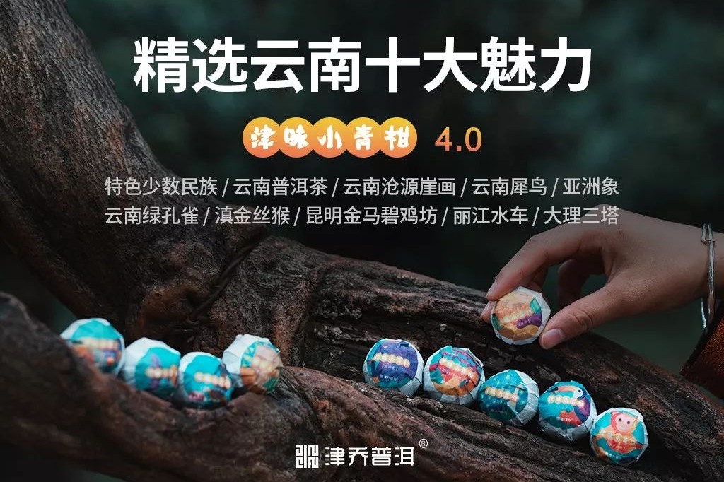 【津品茶话】从自然到人文，跟随这款茶来一次云南深度游