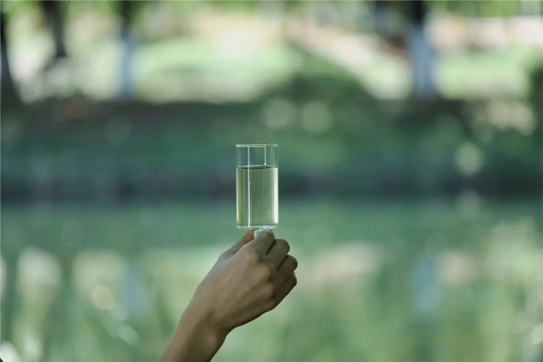 关于“滇绿”，一篇文章带你全面了解