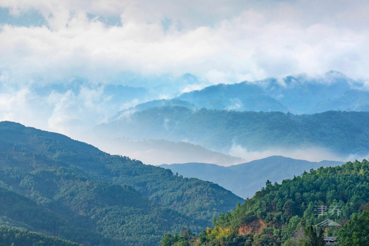 名山即名片，临沧茶、版纳茶有何不同？