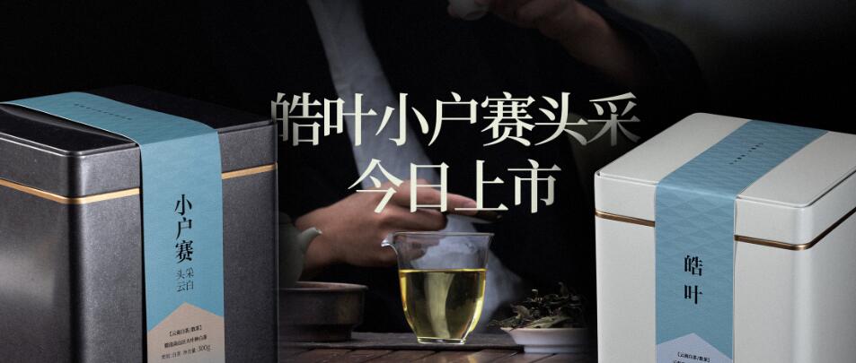 以纯粹，品自然，津乔2023白茶系列迎夏上市