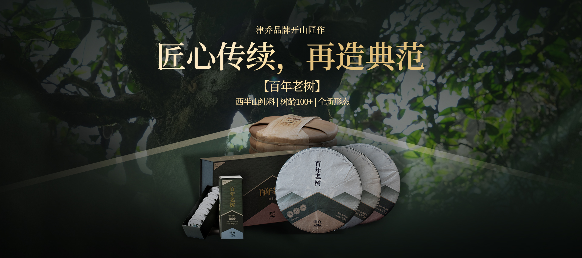百年老树