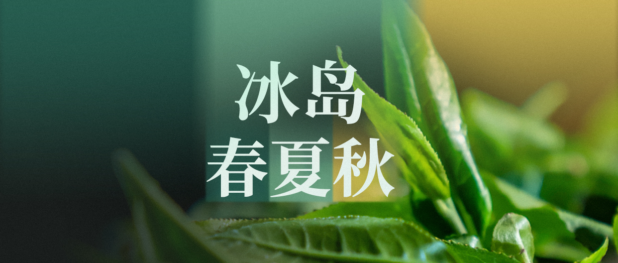 开年礼，年年藏，“冰岛年藏”开启甲辰序幕