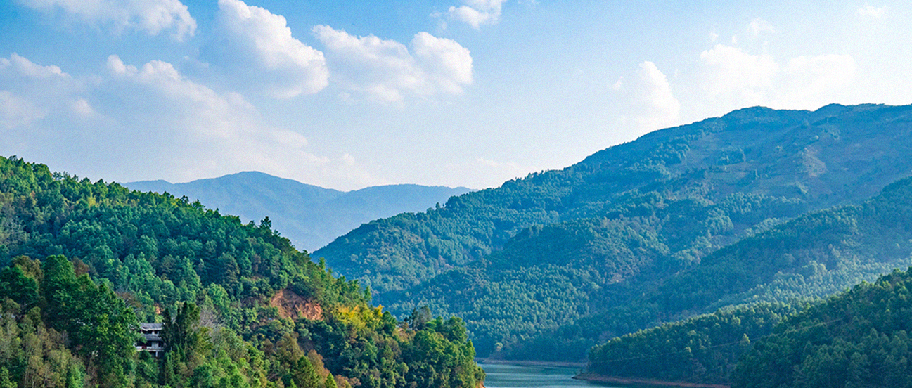 藤条香VS冰岛甜，你更爱哪一味？