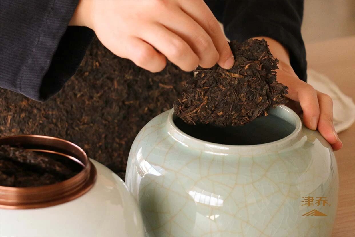 从“品新”到“喝陈”，一个茶客的味觉成年礼